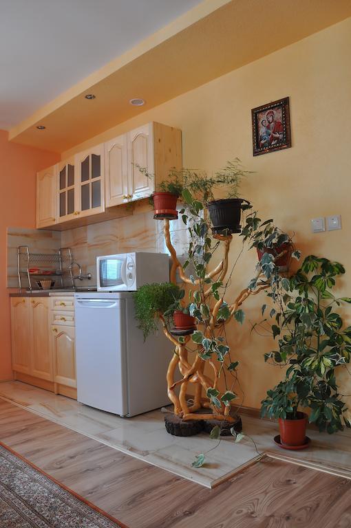 Guest House Eli Sapareva Bania Cameră foto